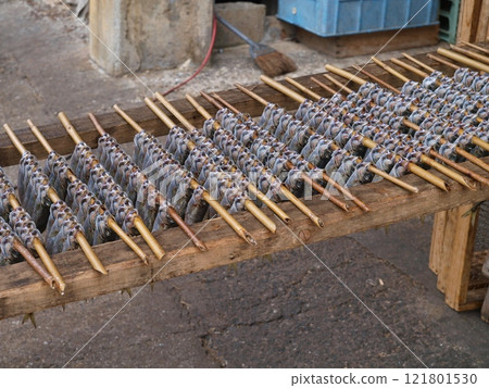 剛捕獲的竹莢魚在港口附近曬乾 121801530