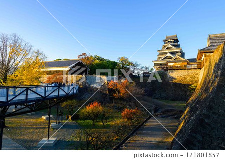 Learn More (Viewing Passage) View of Kumamoto Castle (Autumn Scenery) Castle Festival (Autumn Kumamoto Castle Festival) (Bamboo Lanterns) Learn More (Viewing Passage) View of Kumamoto Castle (Autumn Scenery) Castle Festival (Autumn Kumamoto Castle Festival) (Bamboo Lanterns) 121801857
