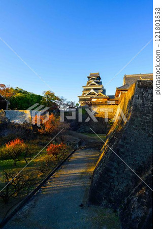 Learn More (Viewing Passage) View of Kumamoto Castle (Autumn Scenery) Castle Festival (Autumn Kumamoto Castle Festival) (Bamboo Lanterns) Learn More (Viewing Passage) View of Kumamoto Castle (Autumn Scenery) Castle Festival (Autumn Kumamoto Castle Festival) (Bamboo Lanterns) 121801858