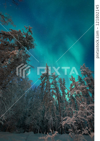 極光景觀、極光觀賞、世界 121802145