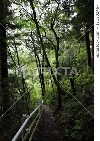 Mountain road to Okuoikojo Station (Oigawa Railway, Shizuoka Prefecture) Mountain road to Okuoikojo Station (Oigawa Railway, Shizuoka Prefecture) 121802467
