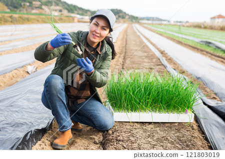 Asian woman planting onion seedlings into cover film holes in farm field 121803019