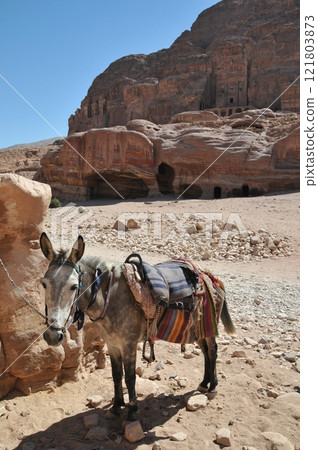 Jordan, Petra, Petra ruins, donkey, distant view of the royal tombs 121803873