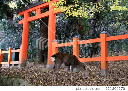 World Heritage Site Kasuga Taisha Shrine Mt. Mt. Ukiunbo Yohaisho World Heritage Site Kasuga Taisha Shrine Mt. Mt. Ukiunbo Yohaisho 121804270