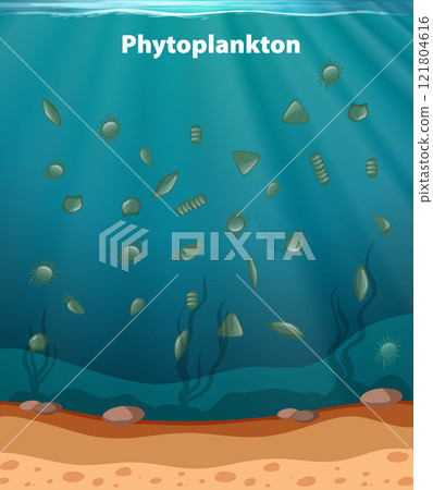 Underwater Phytoplankton Ecosystem Illustration 121804616