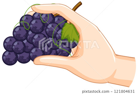 Hand Holding a Bunch of Grapes 121804631