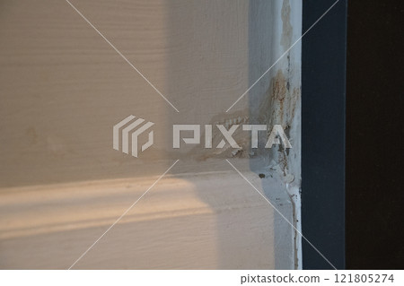 Mold grew in the corner of the hall after After the flood door has a crack in it and is leaning on the wall 121805274