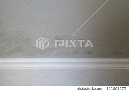 Mold grew in the corner of the hall after After the flood door has a crack in it and is leaning on the wall 121805275