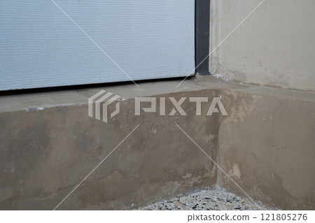 Mold grew in the corner of the hall after After the flood door has a crack in it and is leaning on the wall 121805276