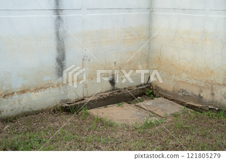 Fungus on the wall after the flood a brick wall with a white paint line 121805279