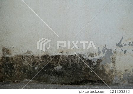 Fungus on the wall after the flood a brick wall with a white paint line 121805283