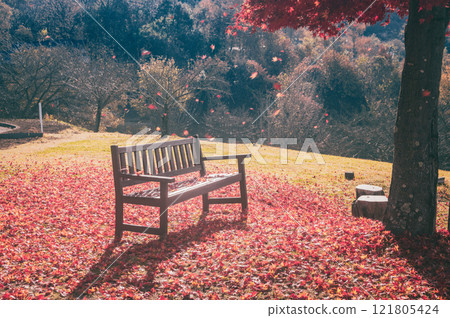 [Late Autumn] Falling leaves [Azumino Ikeda Craft Park] 121805424