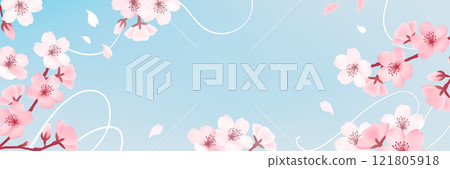 Cherry blossom background_light blue 121805918