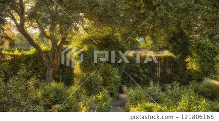 Vibrant overgrown garden with various plants and copy space. Lush green backyard with flowering green bushes and tall trees. Different herbs and wild flora growing in a domestic yard or in nature Vibrant overgrown garden with various plants and copy space. Lush green backyard with flowering green bushes and tall trees. Different herbs and wild flora growing in a domestic yard or in nature 121806168
