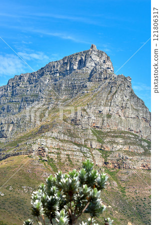 Stunning landscape of Table Mountain with a tree underneath in the summer with copy space. View of big mountain National park in South Africa with beautiful green nature blue sky in the background 121806317