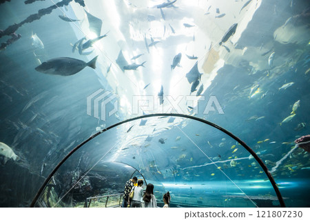 View of the fishes at the Underwater Tunnel at the National Museum of Marine Biology and Aquarium in Kenting National Park of Pingtung, Taiwan. 121807230