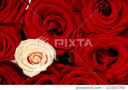 Rose bouquet Rose bouquet 121807760