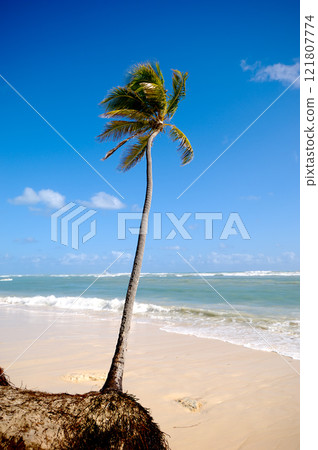 Exotic caribbean beach 121807774