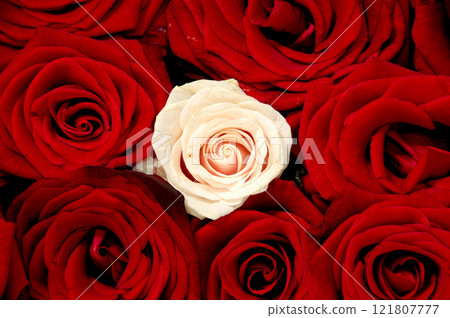 Rose bouquet 121807777