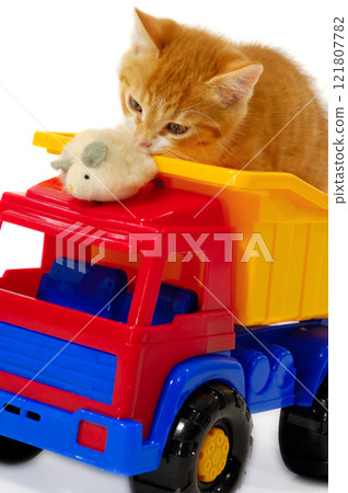 Kitten palying with mouse 121807782