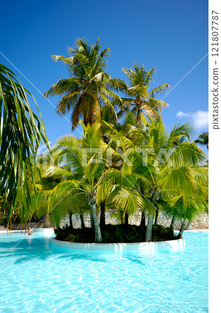 Palms and swimming pool 121807787