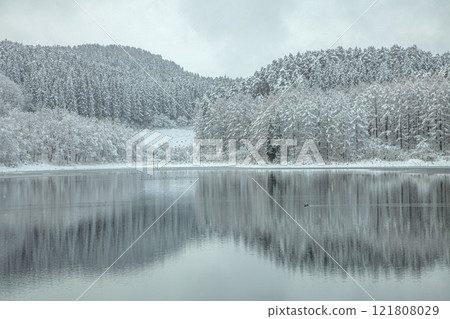 Winter at Aranuma Prefectural Forest 121808029