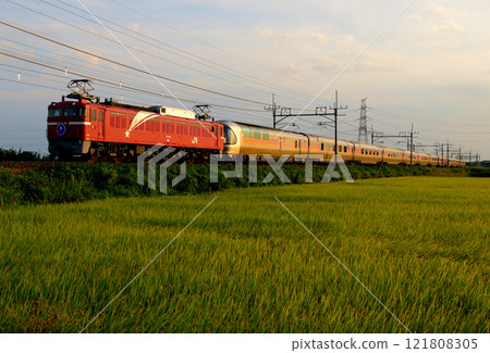 Cassiopeia Journey Running on the Tohoku Main Line at Dusk 121808305