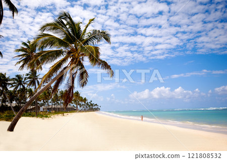 Tropical beach 121808532