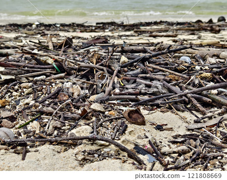 A beach heavily littered with wood and plastic 121808669