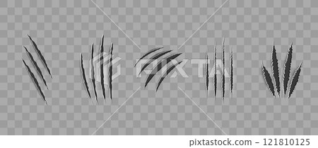 Cat scratch. Realistic set of animal claw marks isolated on transparent background. Black marks of cats tiger lion or wild animals. Flat vector illustration 121810125