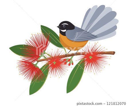 A fantail bird perched on a branch of a pohutukawa tree 121812070