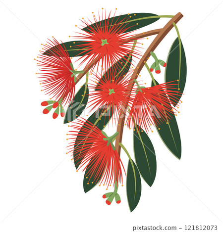 New Zealand Christmas Tree 121812073