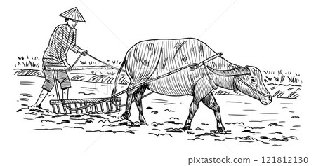 Hand drawn Thai famer and buffalo in paddy field 121812130