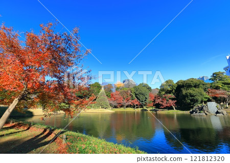 [Tokyo] Symmetrical autumn leaves at Koishikawa Korakuen on a clear day 121812320