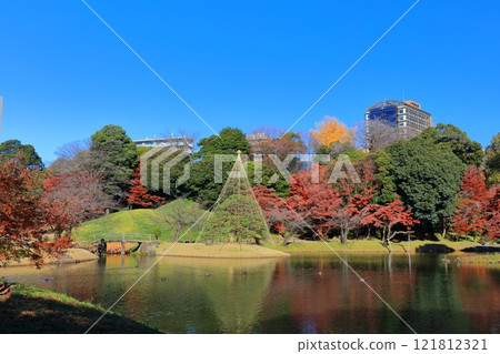 [東京] 陽光明媚的日子，小石川後樂園的對稱秋葉 121812321