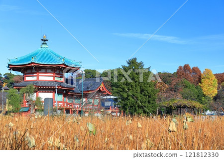 [東京] 晴空不忍池弁天堂（上野公園） 121812330