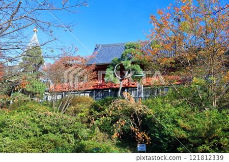 [Tokyo] The stage of Shimizu Kannon-do on a clear day (Ueno Park) 121812339