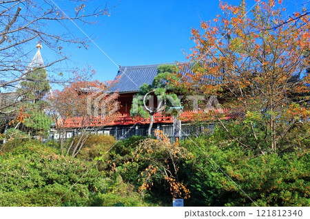 [東京]晴天清水觀音堂的舞台（上野恩賜公園） 121812340