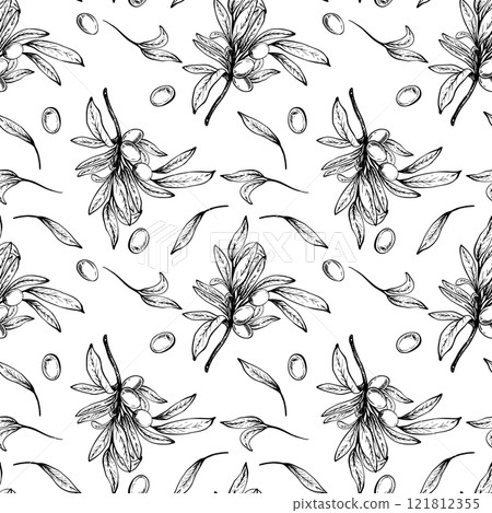 Olive tree branch, leaves and berries seamless pattern. Botanical hand drawn vector linear drawing illustration. Floral clipart for fabric, package, wallpaper, food packaging. Isolated from background 121812355