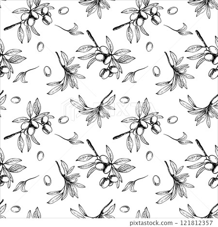 Olive tree branch with leaves and berries fruit vector seamless pattern. Black and white linear drawing hand drawn illustration. Botanical clipart for fabric, wallpaper print. Isolated from background 121812357
