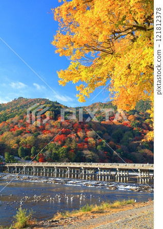 [京都府] 嵐山晴空、渡月橋秋葉 121812378