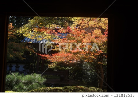 Saige-ji秋葉 121812533