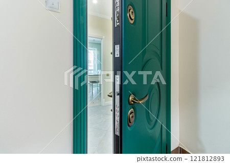 Entrance to the apartment with a modern green door Entrance to the apartment with a modern green door 121812893