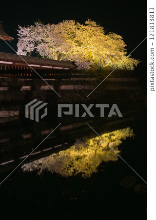 Cherry blossoms reflected in the moat [Matsushiro Castle ruins] 121813811