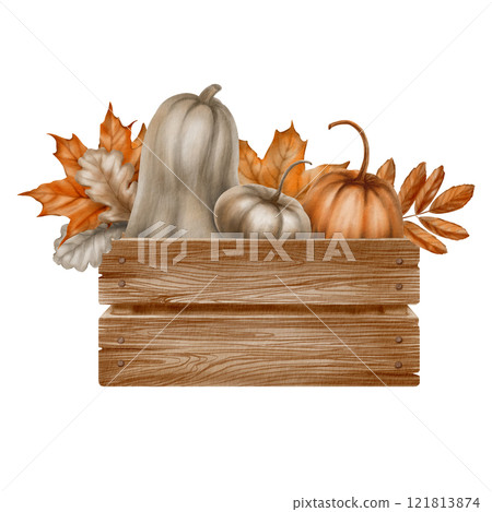 Silver and orange pumpkins in a vintage wooden box with fall leaves of maple,mountain ash and oak as a symbol of the harvest festival,thanksgiving.Watercolor illustration on transparent background Silver and orange pumpkins in a vintage wooden box with fall leaves of maple,mountain ash and oak as a symbol of the harvest festival,thanksgiving.Watercolor illustration on transparent background 121813874