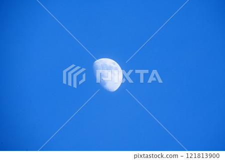 White moon 121813900