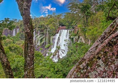 Majestic Iguacu Falls surrounded by lush greenery under a bright blue sky 121814495