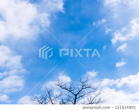 January's Blue Sky and White Clouds 89 January's Blue Sky and White Clouds 89 121814905