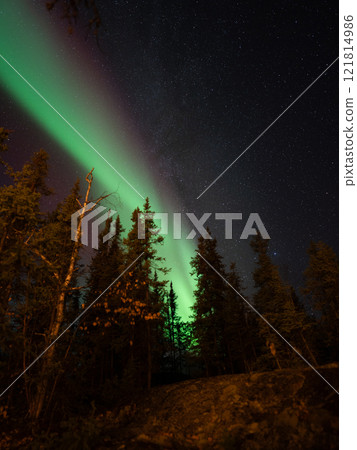 在森林裡觀賞北極光 121814986