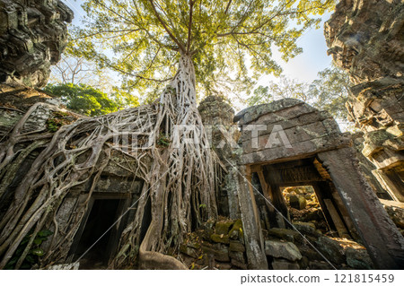 柬埔寨吳哥遺址塔普倫遺址 121815459
